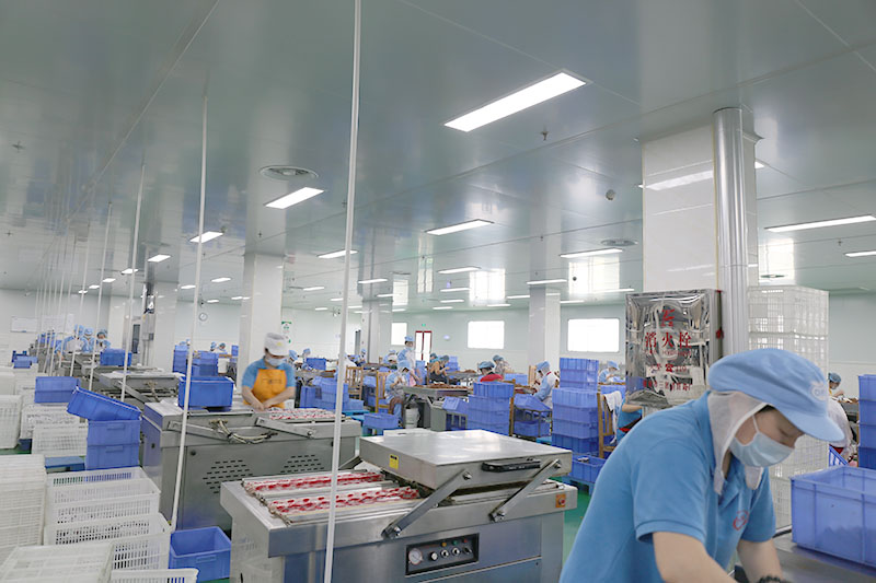 丝瓜APP色版网站观看風采