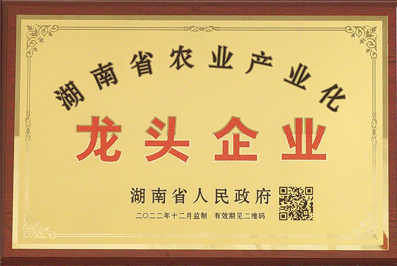 湖南省農業產業化龍頭丝瓜APP色版网站观看